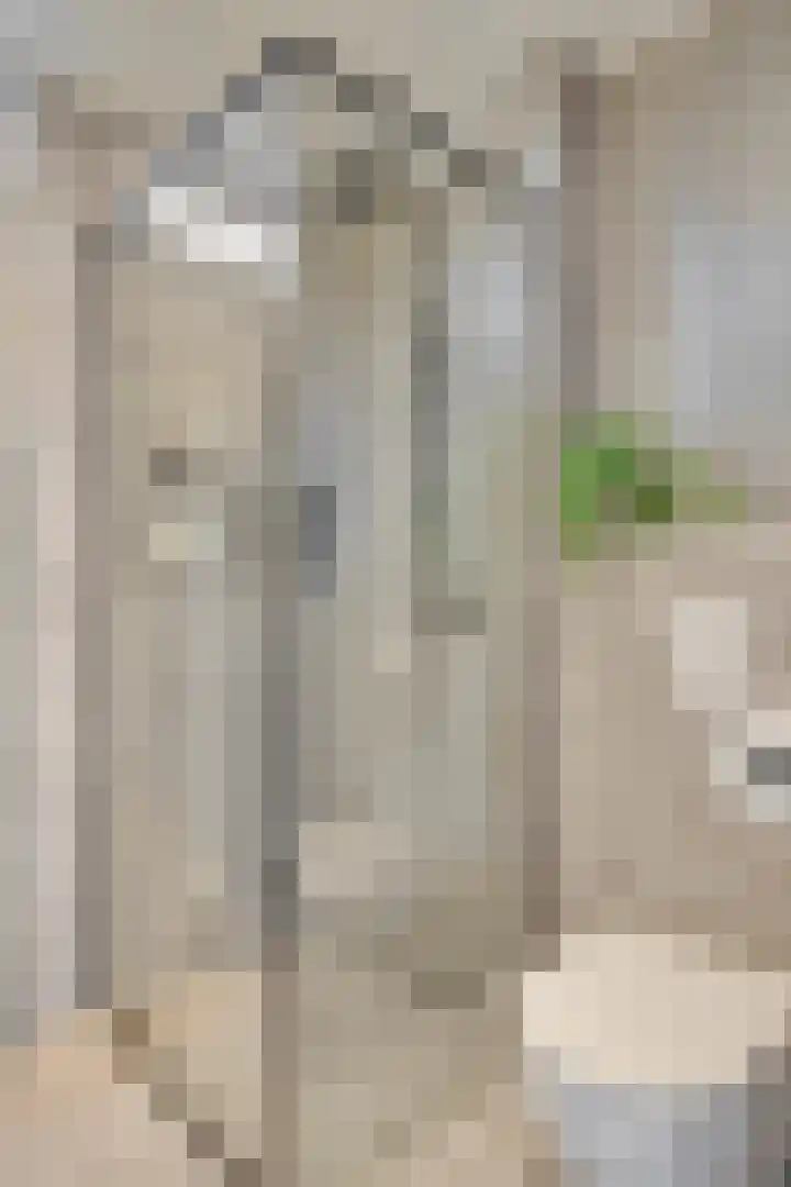 Reijersstraat 19 Elst thumbnail 34