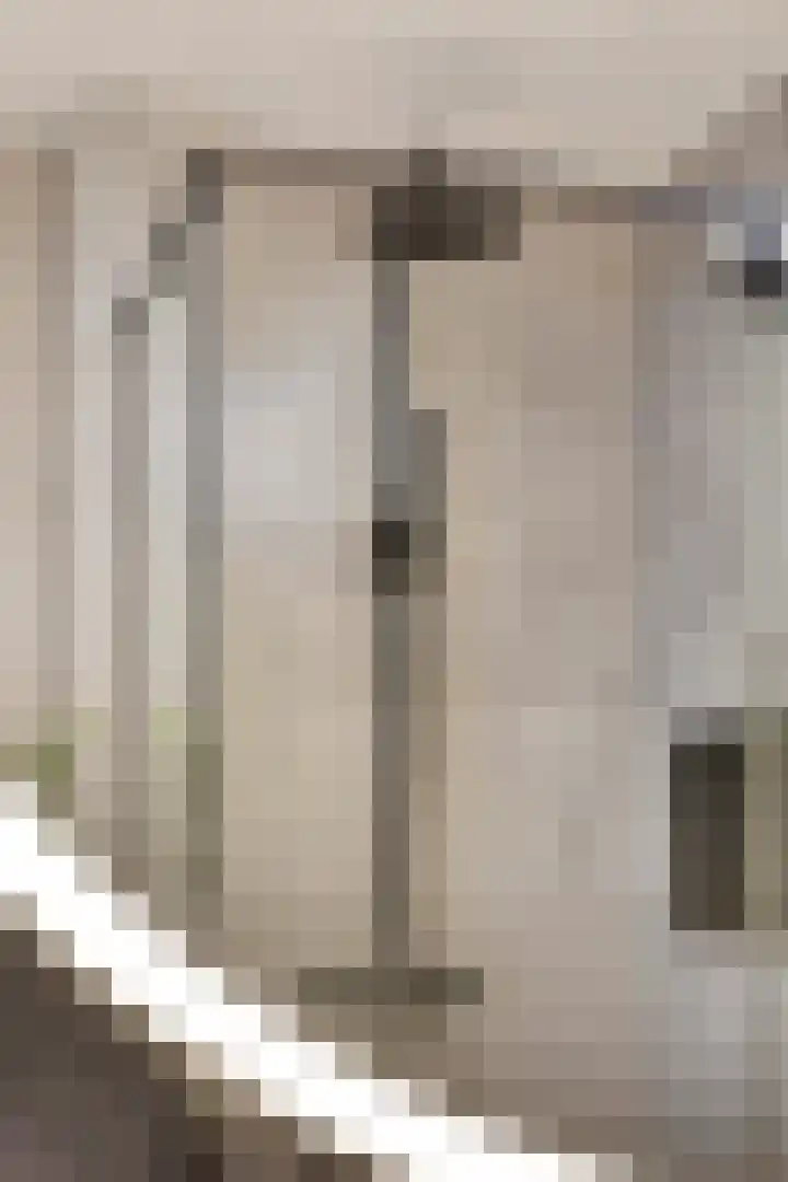 Reijersstraat 19 Elst thumbnail 36
