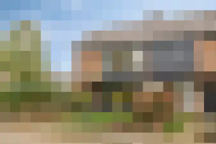 Reijersstraat 19 Elst thumbnail 4