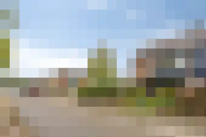 Reijersstraat 19 Elst thumbnail 5