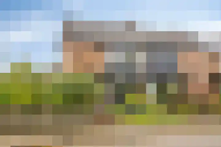 Reijersstraat 19 Elst thumbnail 7
