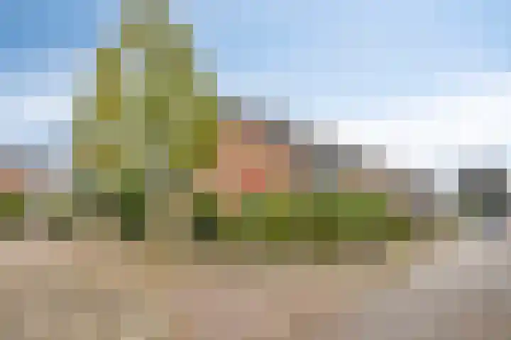 Reijersstraat 19 Elst thumbnail 8