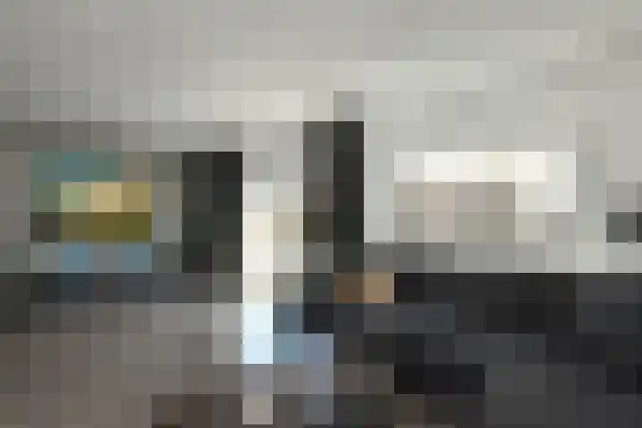 Reijersstraat 31 Elst thumbnail 12