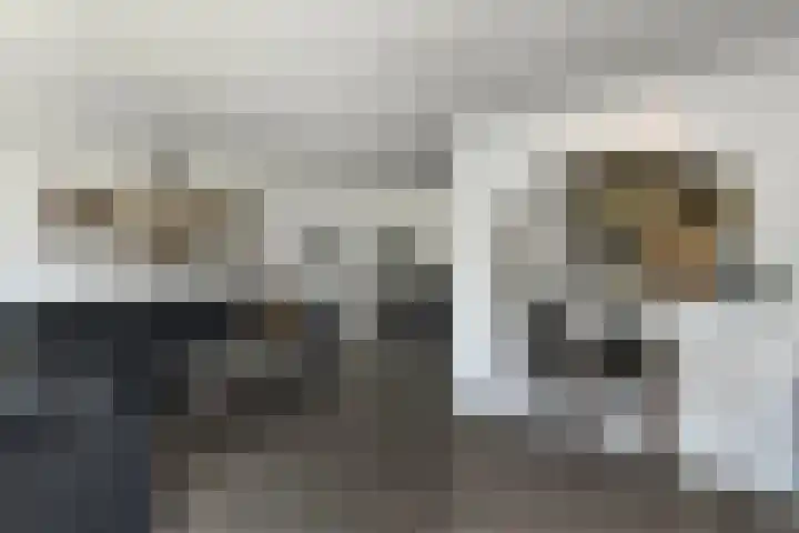 Reijersstraat 31 Elst thumbnail 15