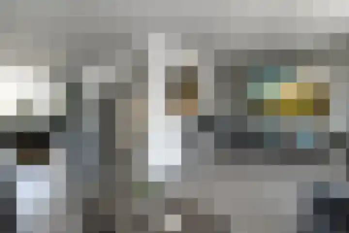 Reijersstraat 31 Elst thumbnail 16