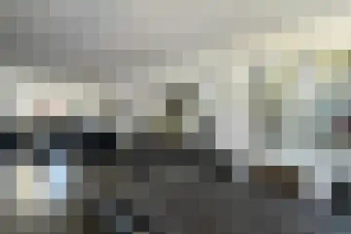 Reijersstraat 31 Elst thumbnail 18