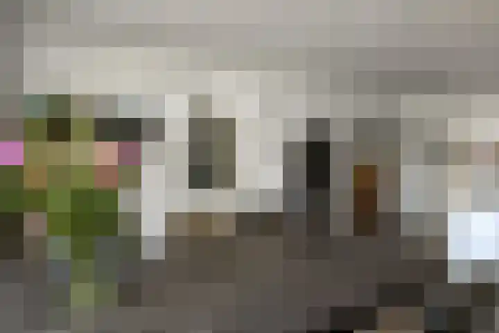 Reijersstraat 31 Elst thumbnail 19