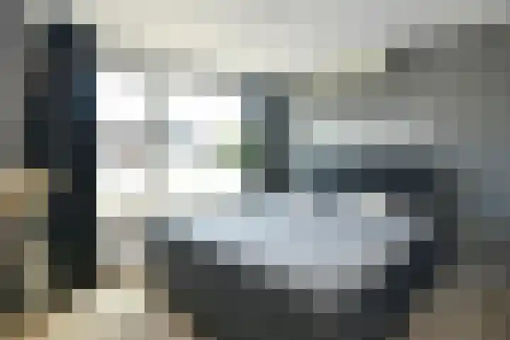 Reijersstraat 31 Elst thumbnail 23