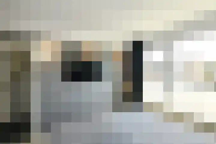 Reijersstraat 31 Elst thumbnail 25