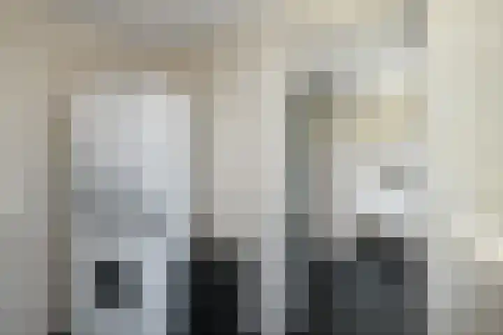 Reijersstraat 31 Elst thumbnail 32