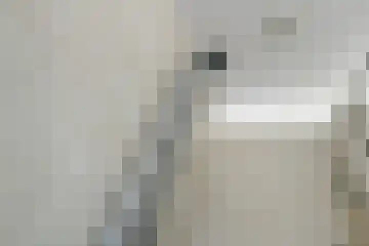 Reijersstraat 31 Elst thumbnail 39