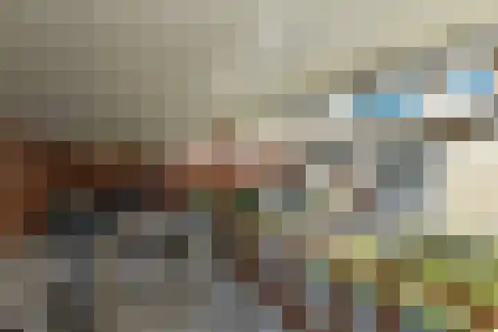 Reijersstraat 31 Elst thumbnail 4