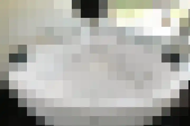 Reijersstraat 31 Elst thumbnail 41
