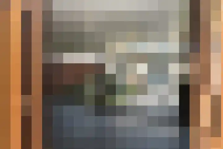 Reijersstraat 31 Elst thumbnail 58