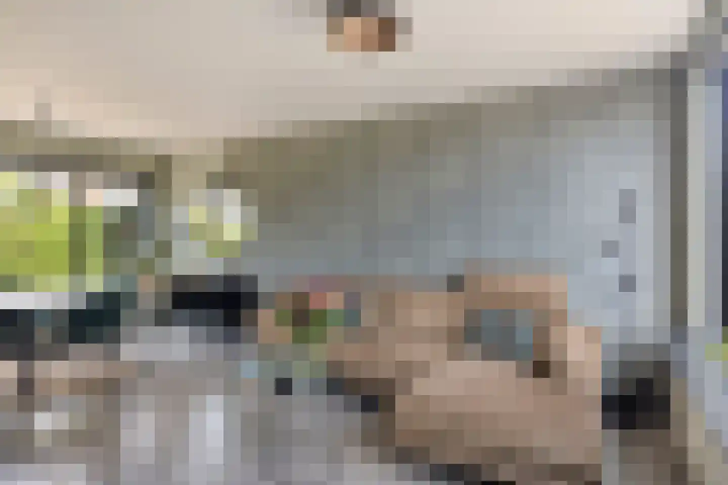 Reijersstraat 5 Elst thumbnail 12