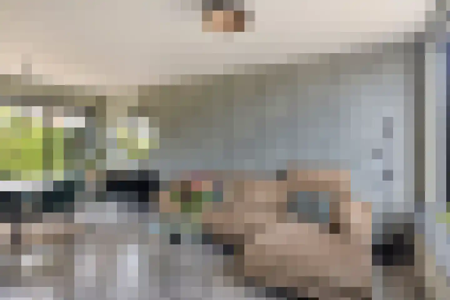 Reijersstraat 5 Elst thumbnail 12