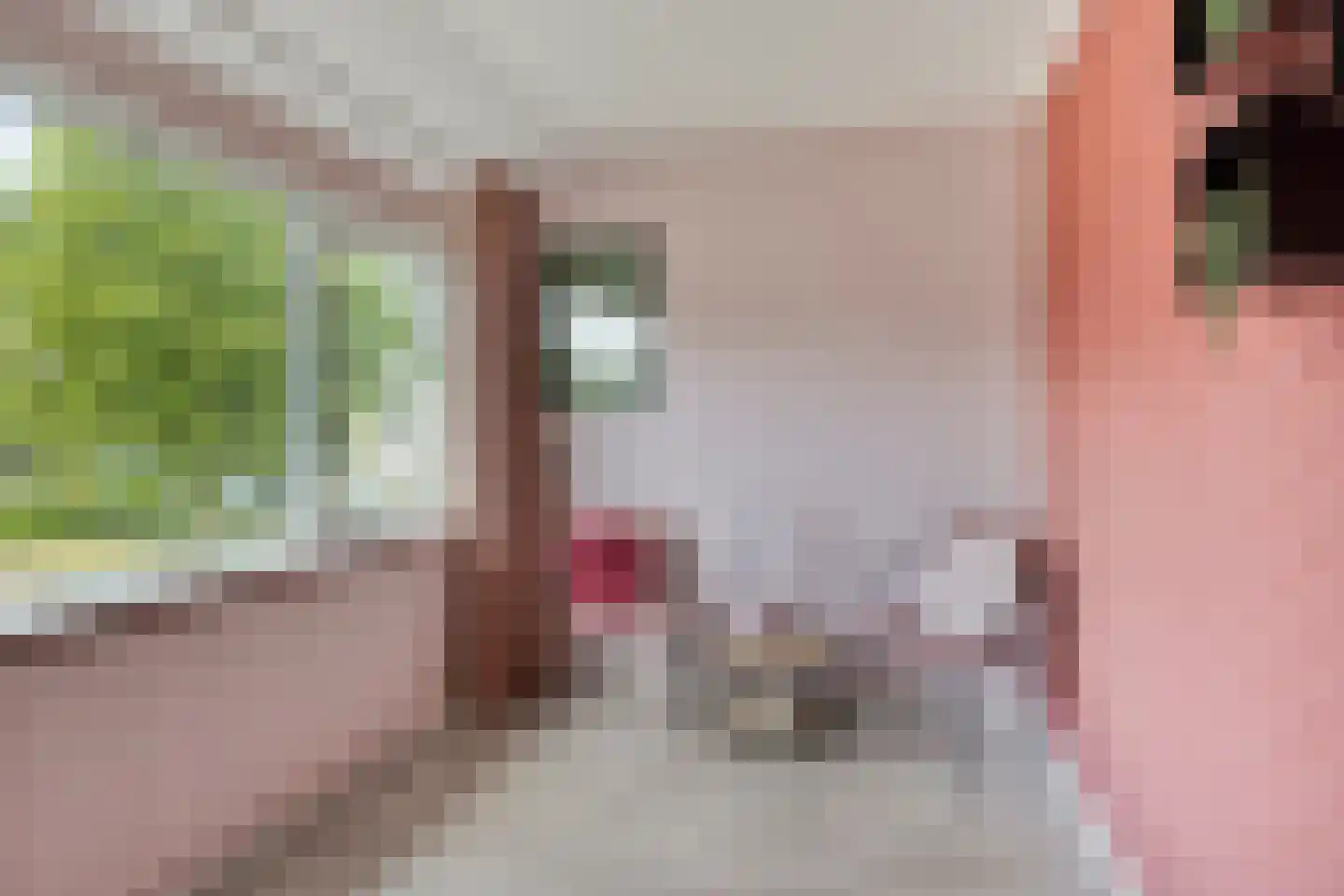 Reijersstraat 5 Elst thumbnail 23