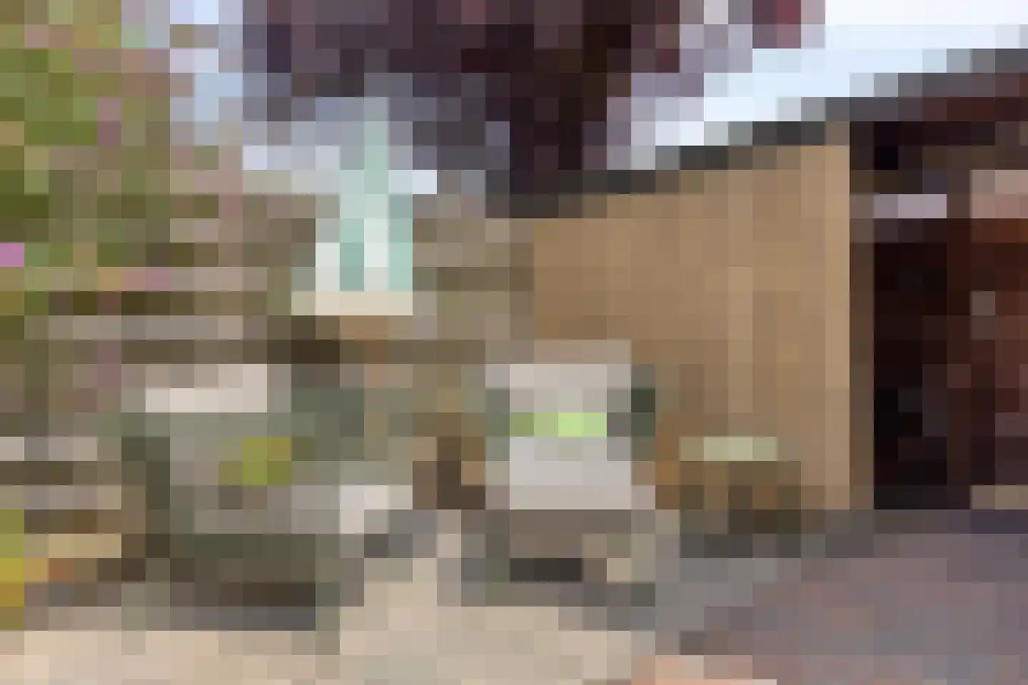Reijersstraat 5 Elst thumbnail 28