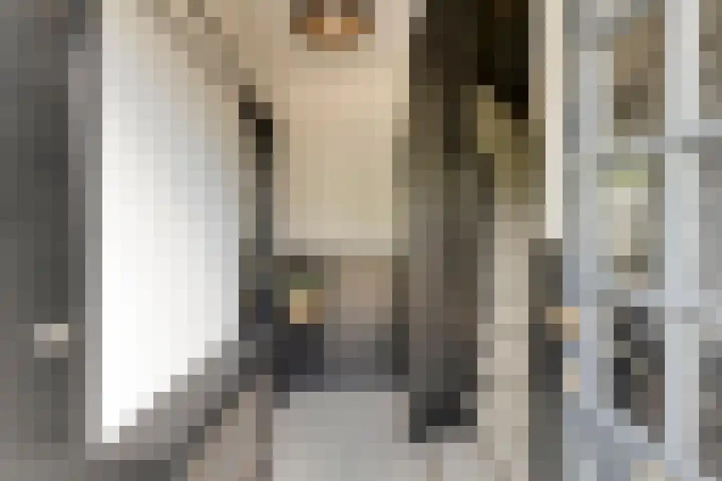 Reijersstraat 5 Elst thumbnail 7