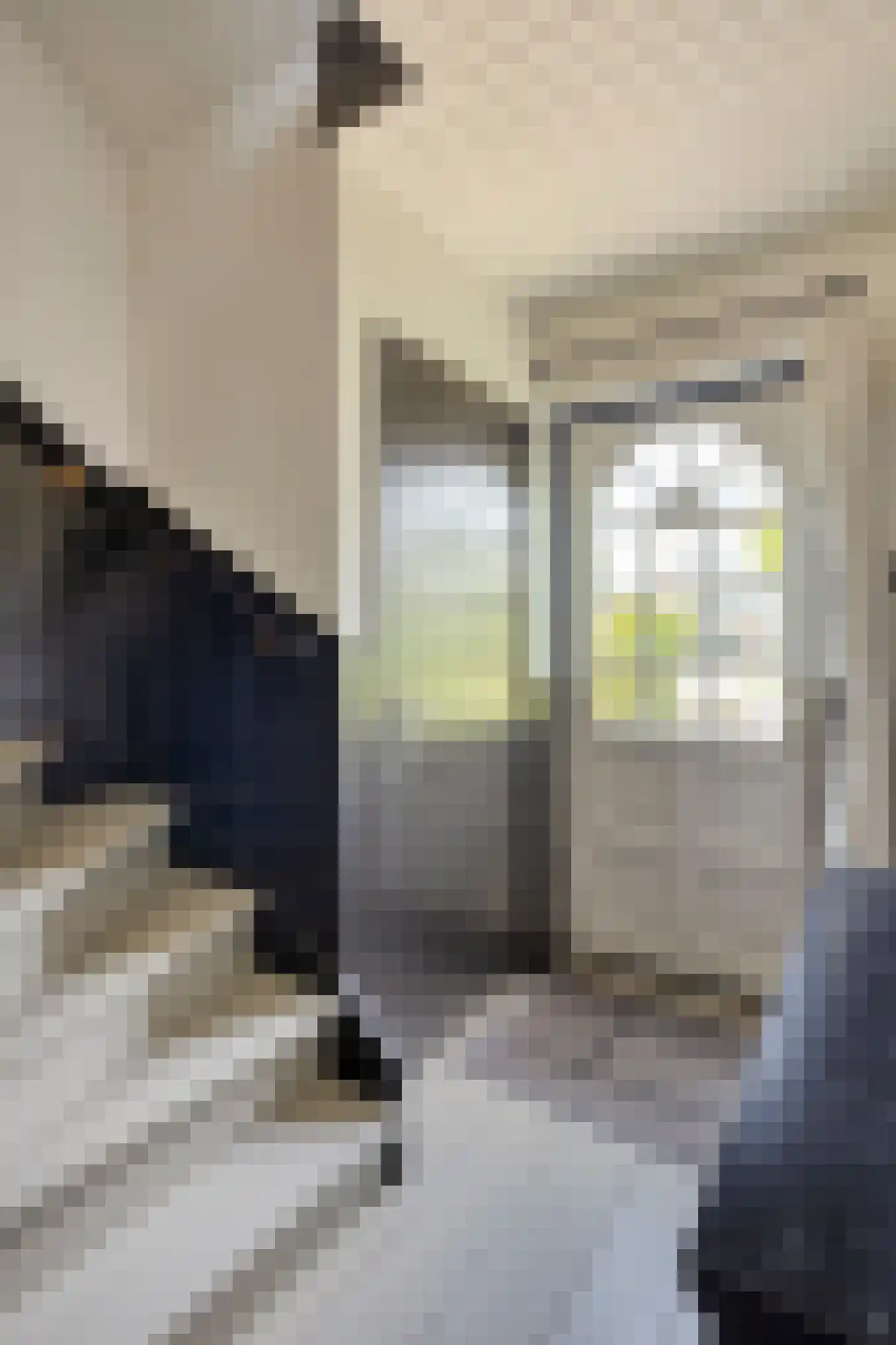 Reijersstraat 5 Elst thumbnail 9