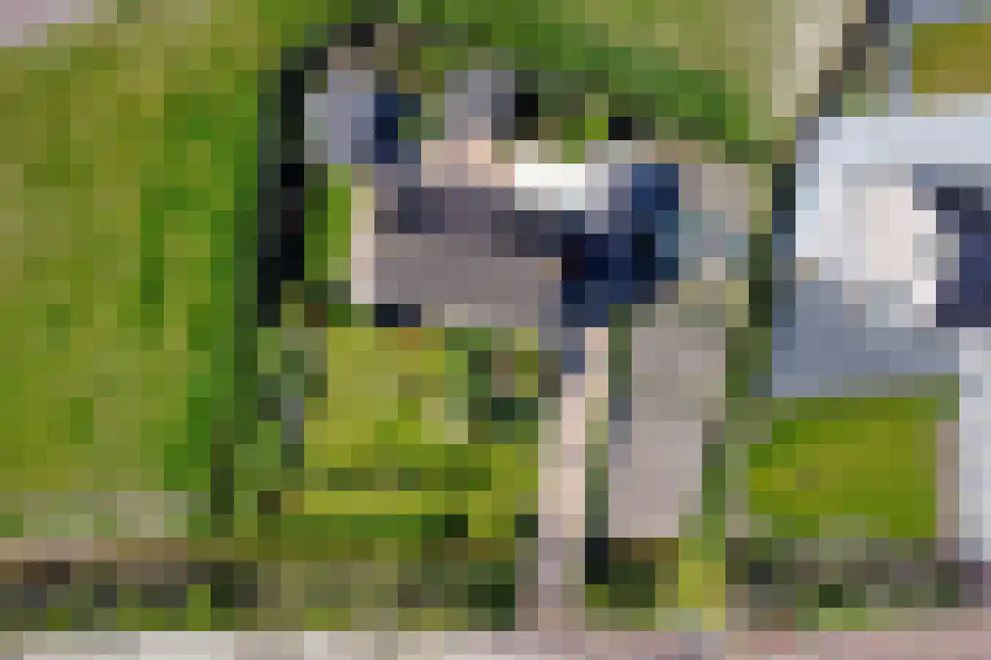 Reijersweg 2 Middelburg thumbnail 28