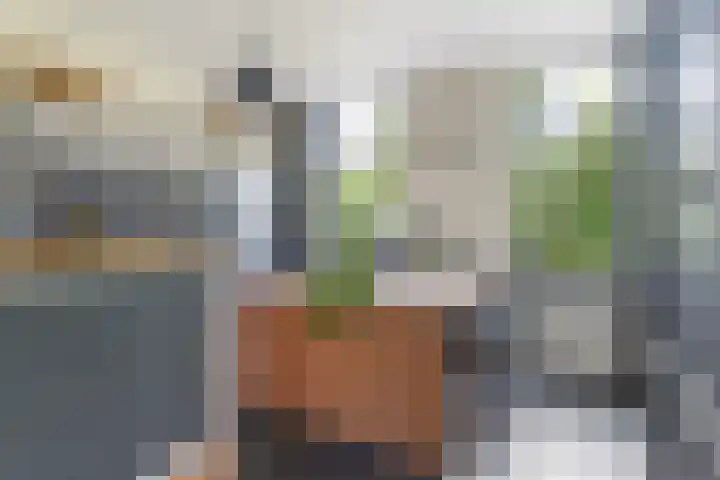 Reijersweg 4 a Oost-Souburg thumbnail 12