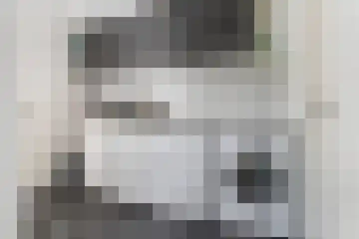 Reijersweg 4 a Oost-Souburg thumbnail 14