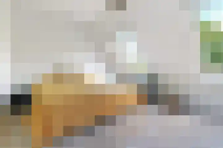 Reijersweg 4 a Oost-Souburg thumbnail 22