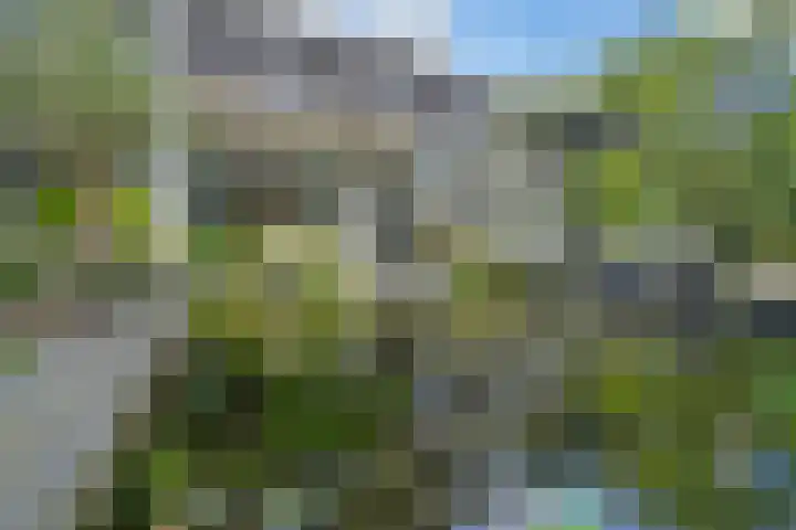 Reijersweg 4 a Oost-Souburg thumbnail 33