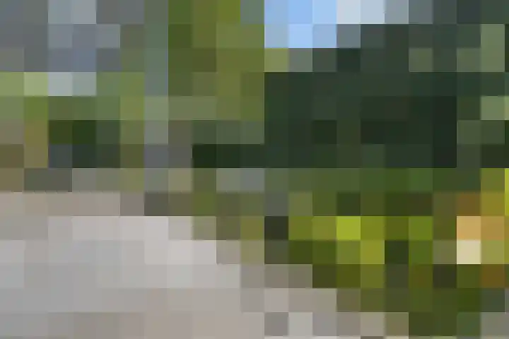 Reijersweg 4 a Oost-Souburg thumbnail 36
