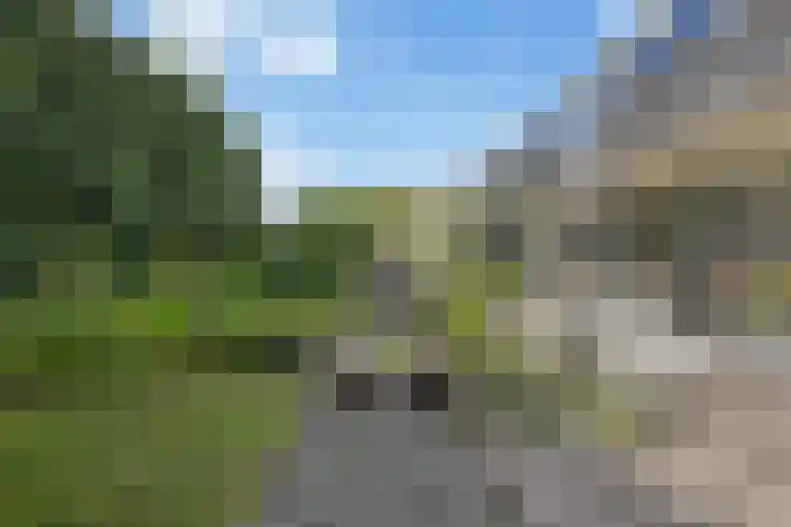 Reijersweg 4 a Oost-Souburg thumbnail 37