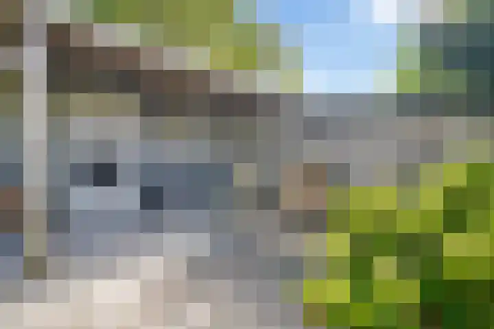 Reijersweg 4 a Oost-Souburg thumbnail 39