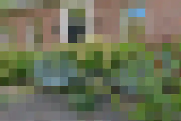 Reijersweg 4 a Oost-Souburg thumbnail 41