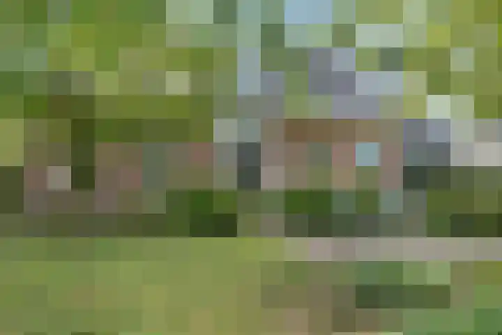 Reijersweg 4 a Oost-Souburg thumbnail 42