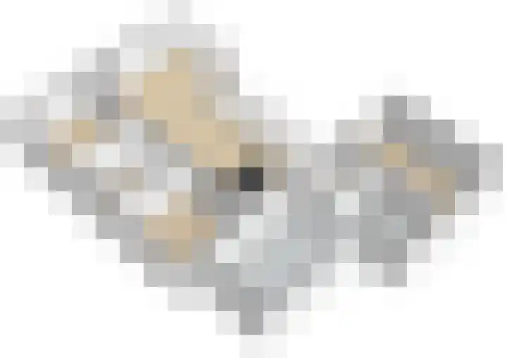 Reijersweg 4 a Oost-Souburg thumbnail 47