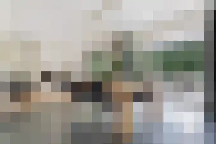 Reijersweg 4 a Oost-Souburg thumbnail 5
