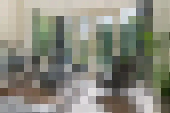 Reijersweg 4 a Oost-Souburg thumbnail 7