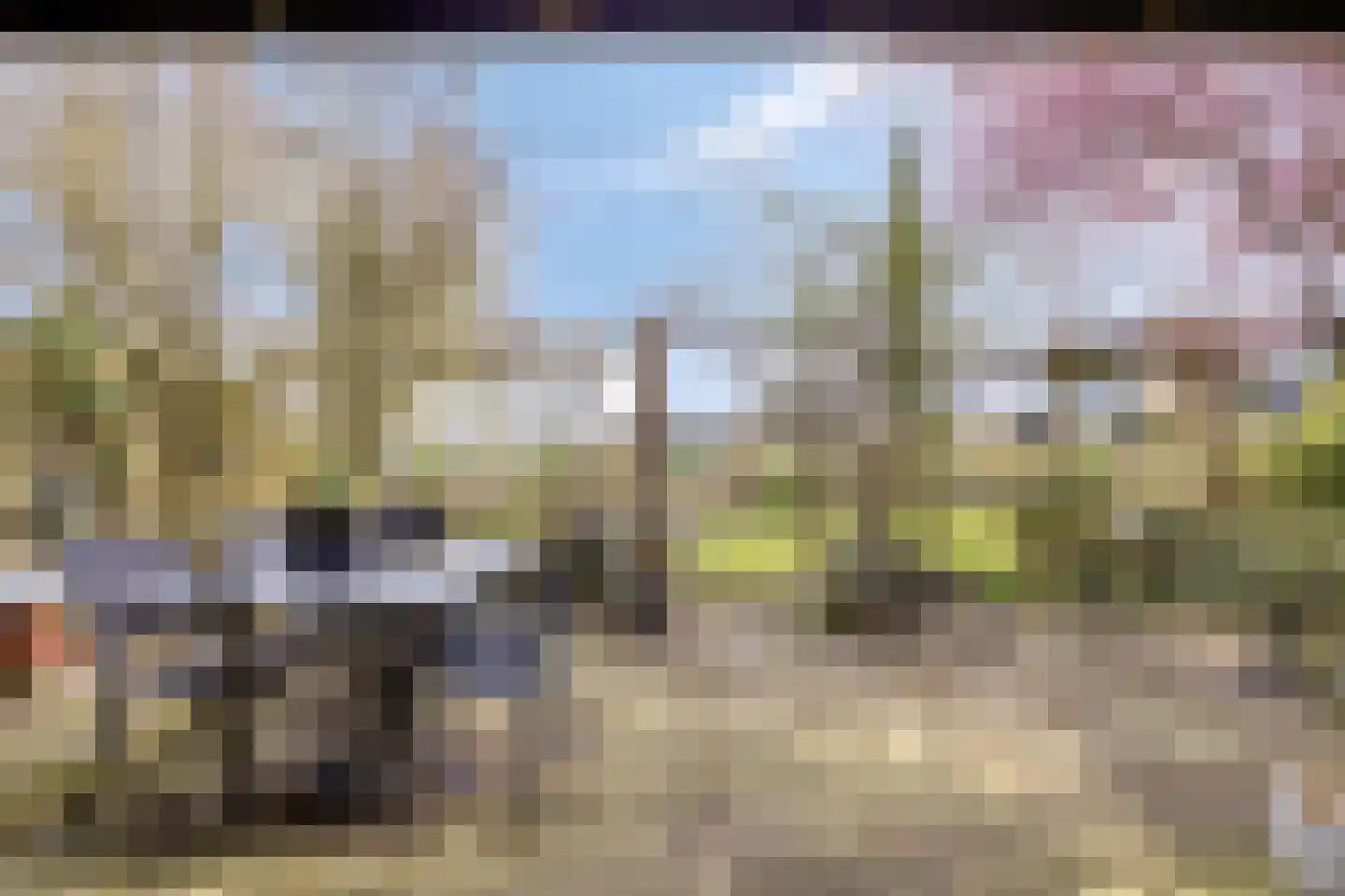 Reijerwaardseweg 40 Barendrecht thumbnail 39