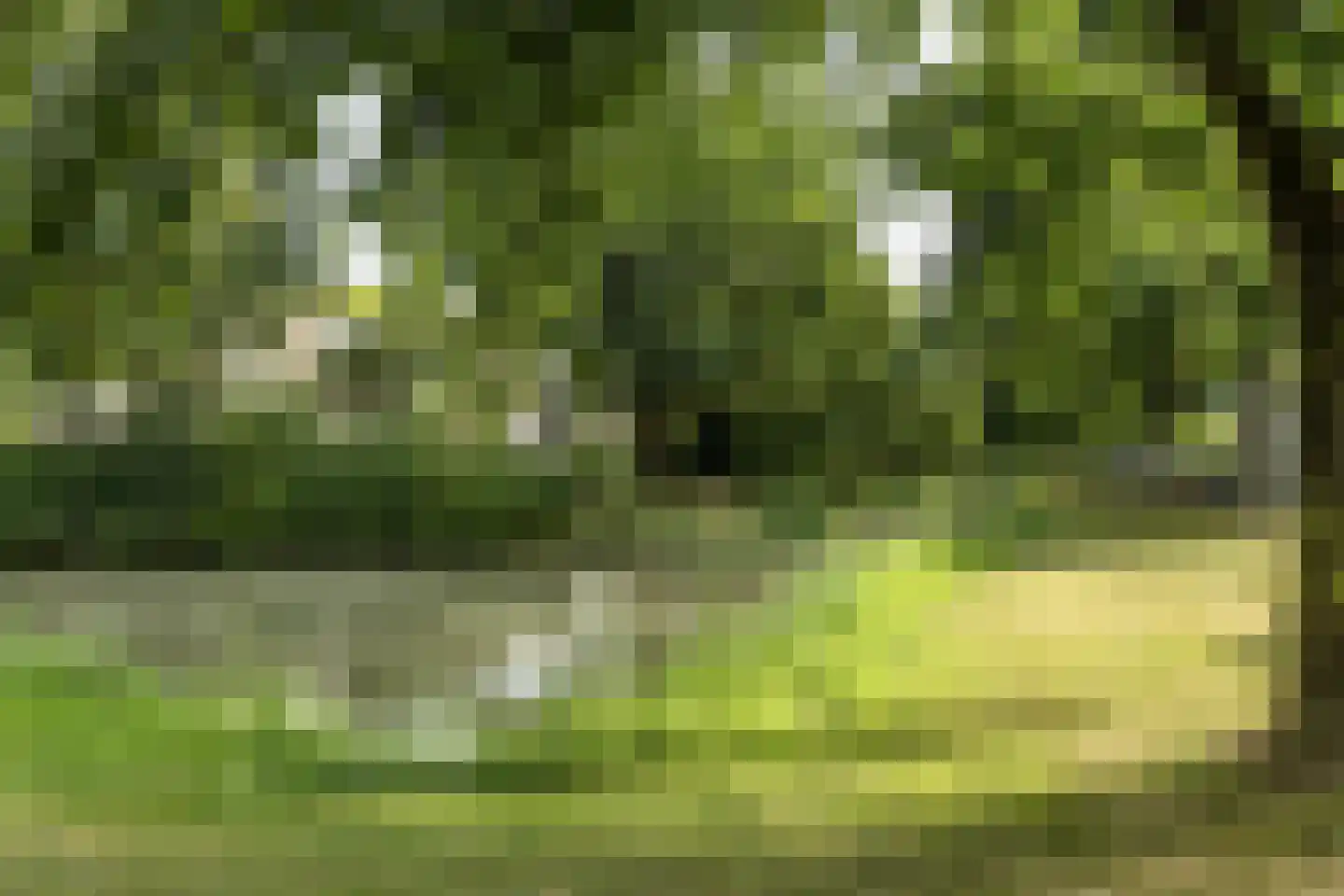 Reijerweg 121 Ridderkerk thumbnail 32