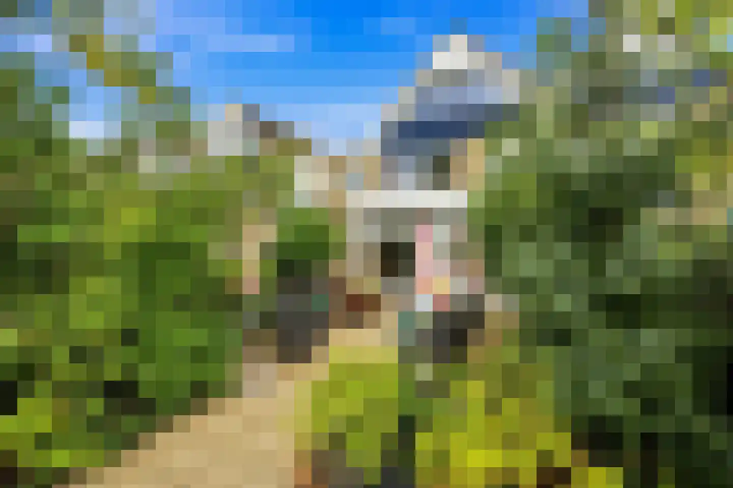 Reijerweg 223 Ridderkerk thumbnail 37