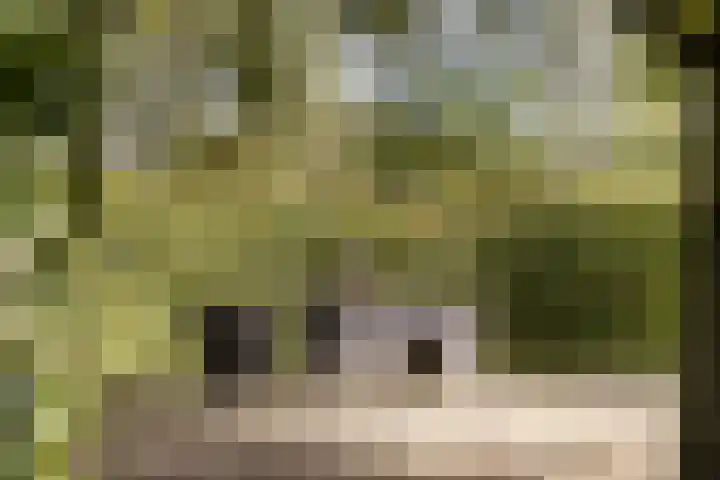 Reijerweg 4 Ridderkerk thumbnail 31