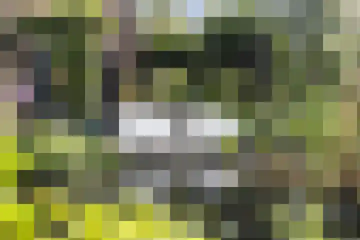 Reijerweg 4 Ridderkerk thumbnail 32