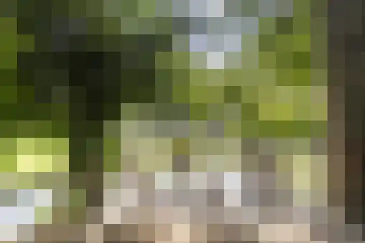 Reijerweg 4 Ridderkerk thumbnail 34