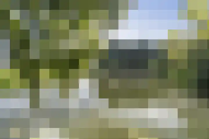 Reijerweg 4 Ridderkerk thumbnail 35