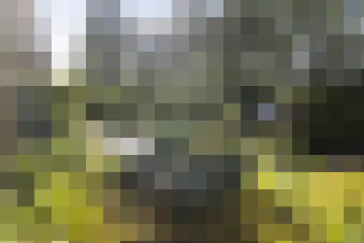 Reijerweg 4 Ridderkerk thumbnail 36
