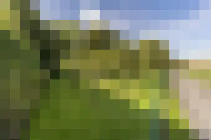 Reijerweg 4 Ridderkerk thumbnail 37