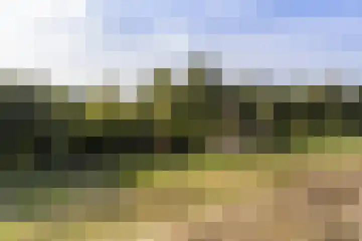 Reijerweg 4 Ridderkerk thumbnail 38