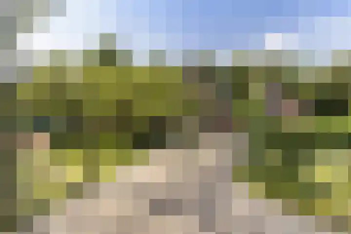 Reijerweg 4 Ridderkerk thumbnail 4