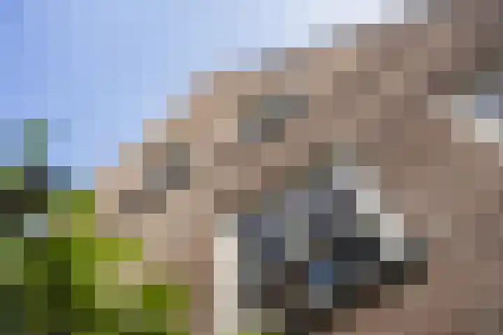 Reijerweg 4 Ridderkerk thumbnail 40