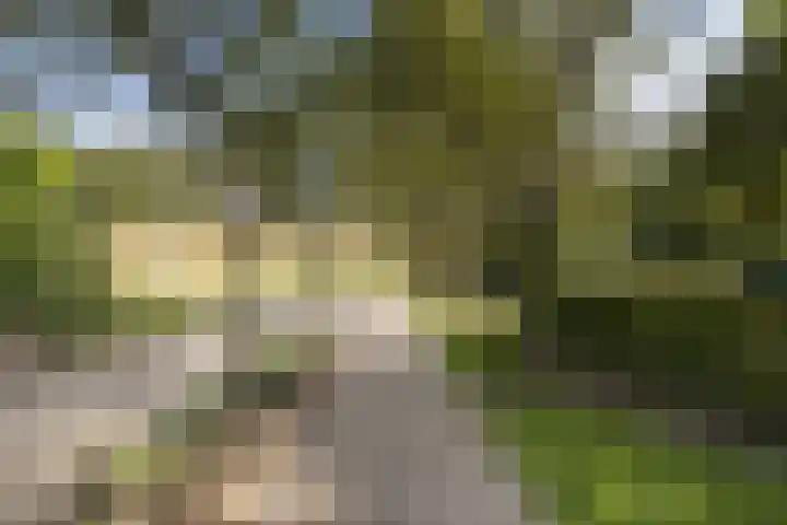 Reijerweg 4 Ridderkerk thumbnail 42